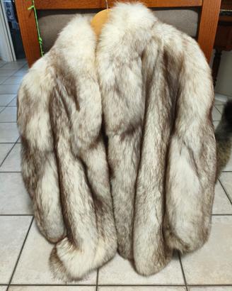 Volpe della Groenlandia