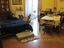 Immagine 5