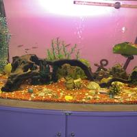 Acquario New R 390 vetro curvo 150 litri