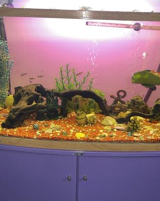 Acquario New R 390 vetro curvo 150 litri