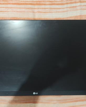 Monitor 24" Full Hd LG + Supporto rialzato
