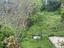 Immagine 19