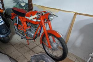 MV AGUSTA LIBERTY SPORT 50 