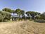 Immagine 11