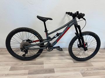 Norco Fluid 2  24"