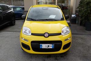 FIAT Panda MY25 - 1.0 FireFly Hybrid POP