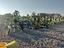 Immagine 15