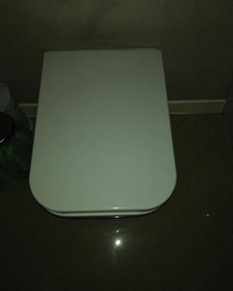 Coppia sanitari tazza wc e bidet