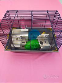gabbietta per criceti 