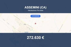 Immobile in asta di 16858 m² a Assemini