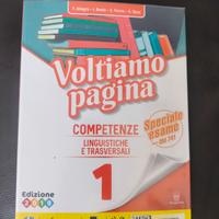 voltiamo pagina vol.1