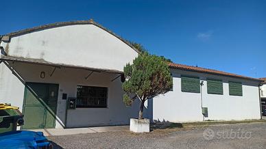 Capannone artigianale