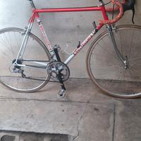 bici Bottecchia 