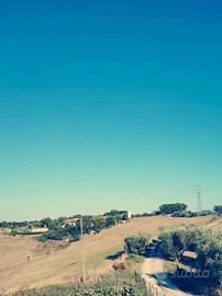 Terreno agricolo