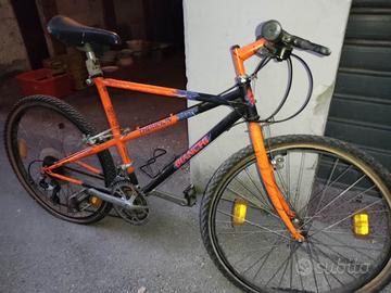 Bianchi Ragno Theridion