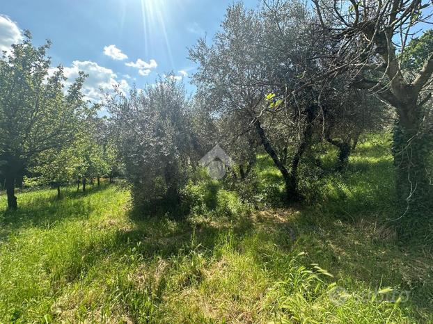 TER. AGRICOLO A PONSACCO