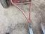 Immagine 19