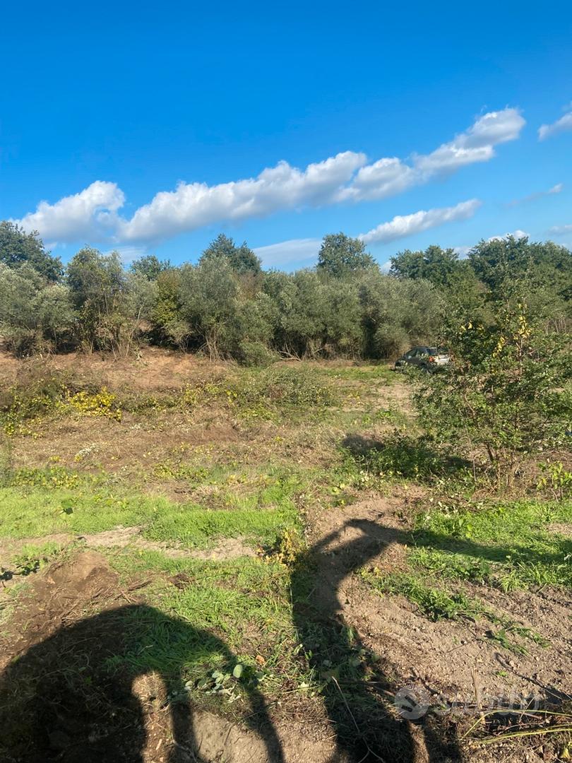 Terreno agricolo - Vista 2