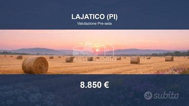 Immobile in asta di 32360 m² a Lajatico