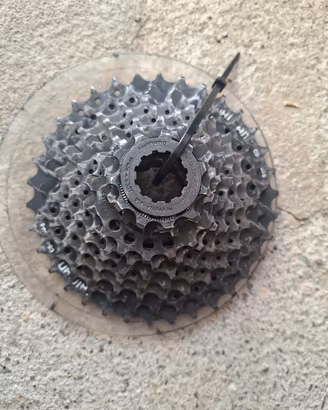 Cambia bici