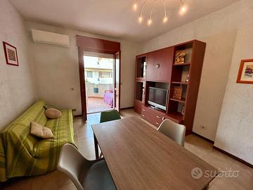 Speciale giugno gabbiano bianco