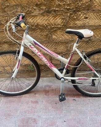 Bici montabike