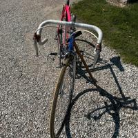 bici da uomo campagnolo