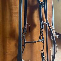 Testiera redini e imboccatura per cavalli