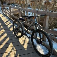 c100 collective bikes