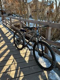 c100 collective bikes