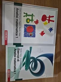 Libri analisi matematica