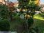 Immagine 23