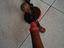 Immagine 1