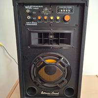 casse amplificate 