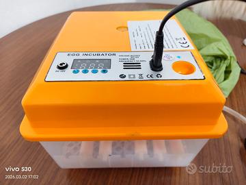 incubatore per uova