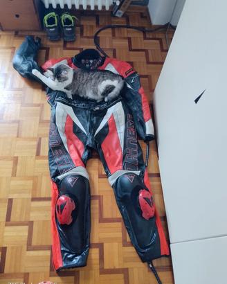 tuta moto dainese
