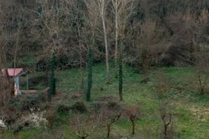 Terreno agricolo 900 mq