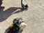 Immagine 24