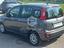 Immagine 7