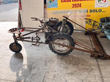 Bcs 20000 e BCS 2000