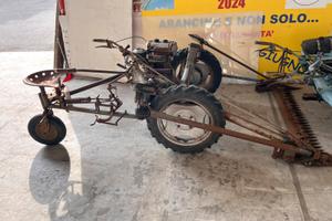 Bcs 20000 e BCS 2000