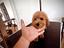 Immagine 25