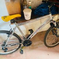 Mountain bike