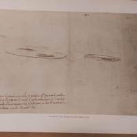 Stampa Leonardo da Vinci