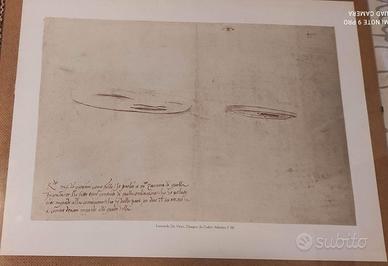 Stampa Leonardo da Vinci