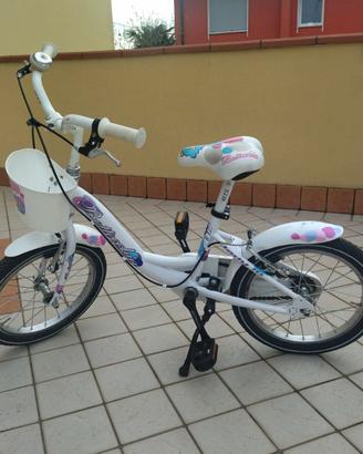 Bicicletta raggio 16