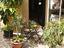 Immagine 14