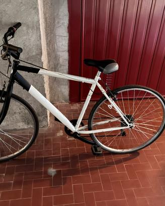 Bici da città