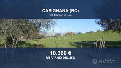 Immobile in asta di 6430 m² a Casignana