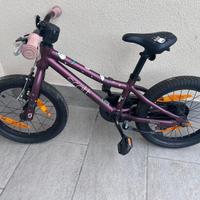 Scott modello Contessa 16